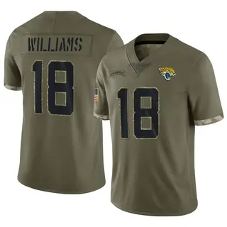 Jacksonville Jaguars Youth CJ Williams Limited 2022 Salute To Service Jersey - Olive
